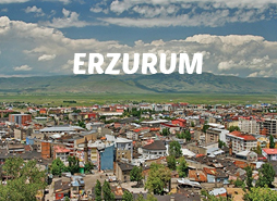 Erzurum Havalimanı